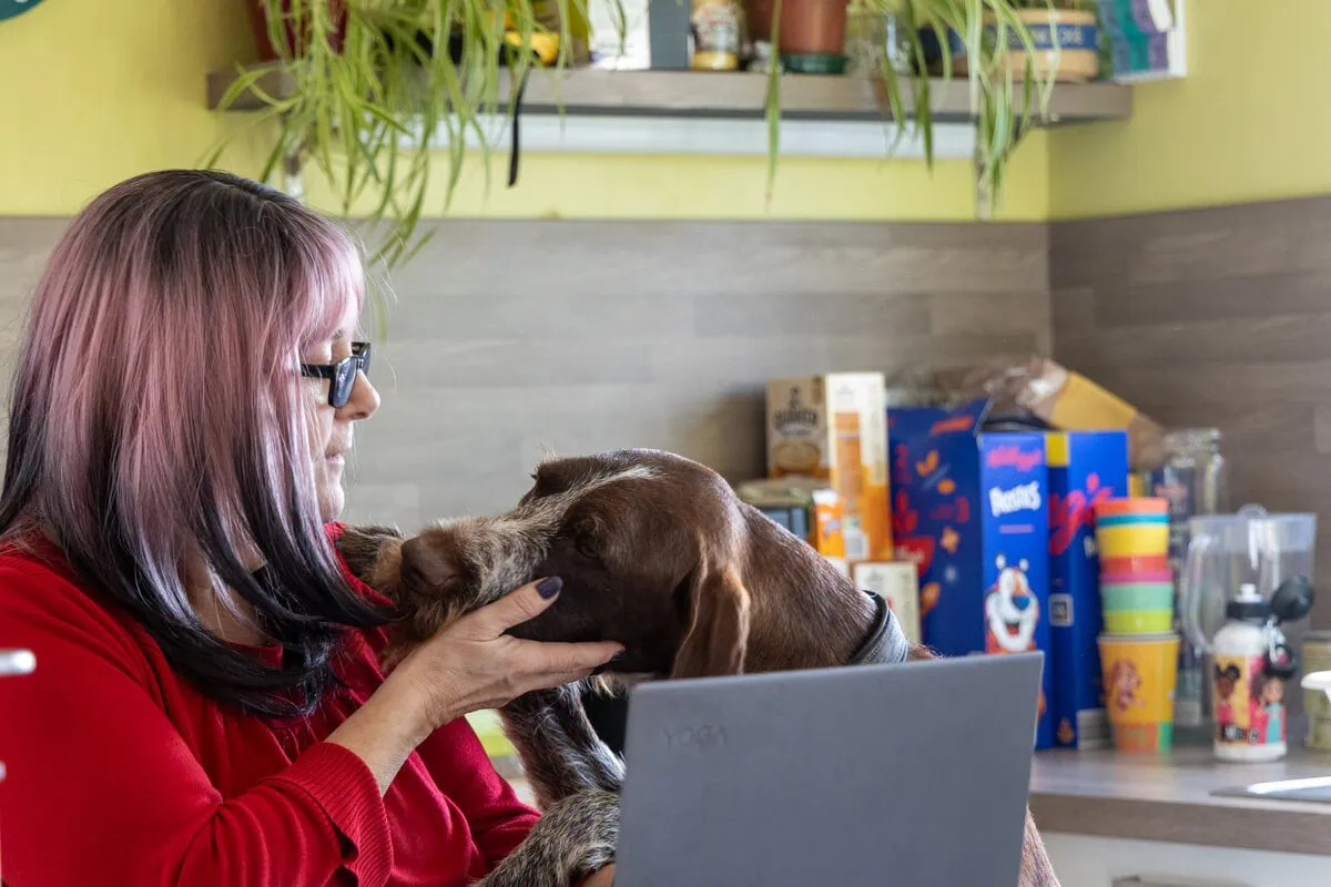 Family Dog Wire Haired Pointer Bonding Adult Working Kitchen Closeup Sideview
