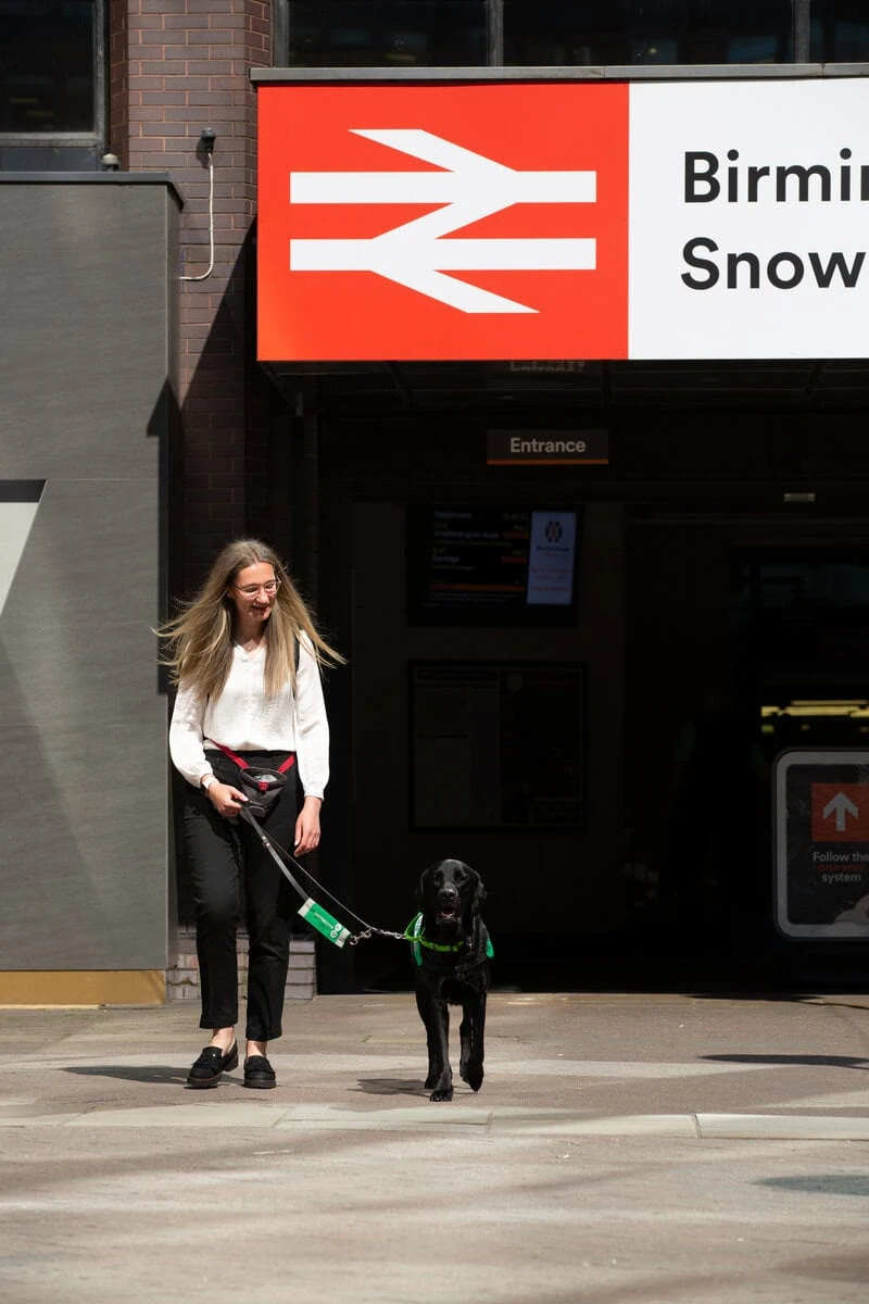 Physical Disability Assistance Black Labrador Walking Adult Outside Entrance Train Station Frontfacing