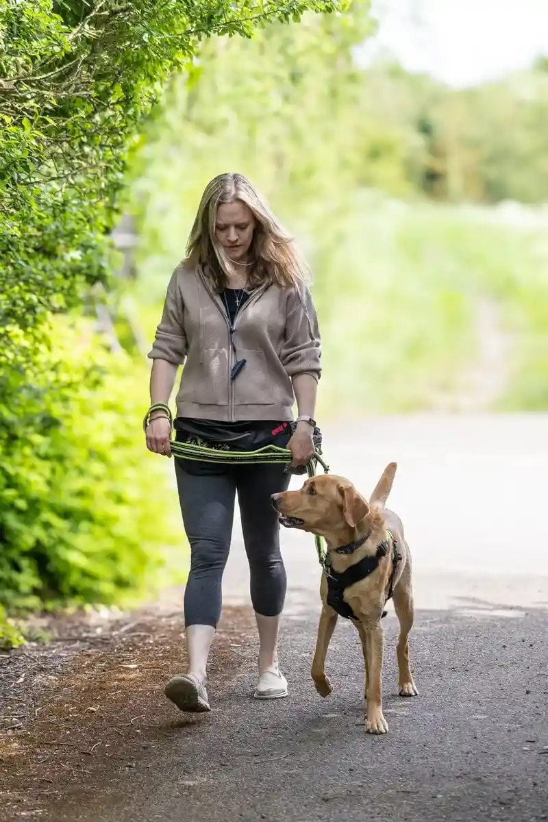 Family Dog Golden Retreiver Walking Path Adult Sideview