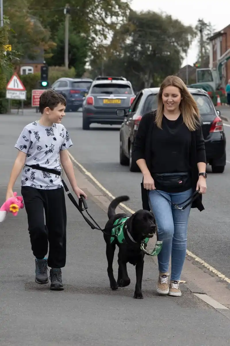 Autism Assistance Black Labrador Child Parent Walking Pavement Autumn Frontfacing