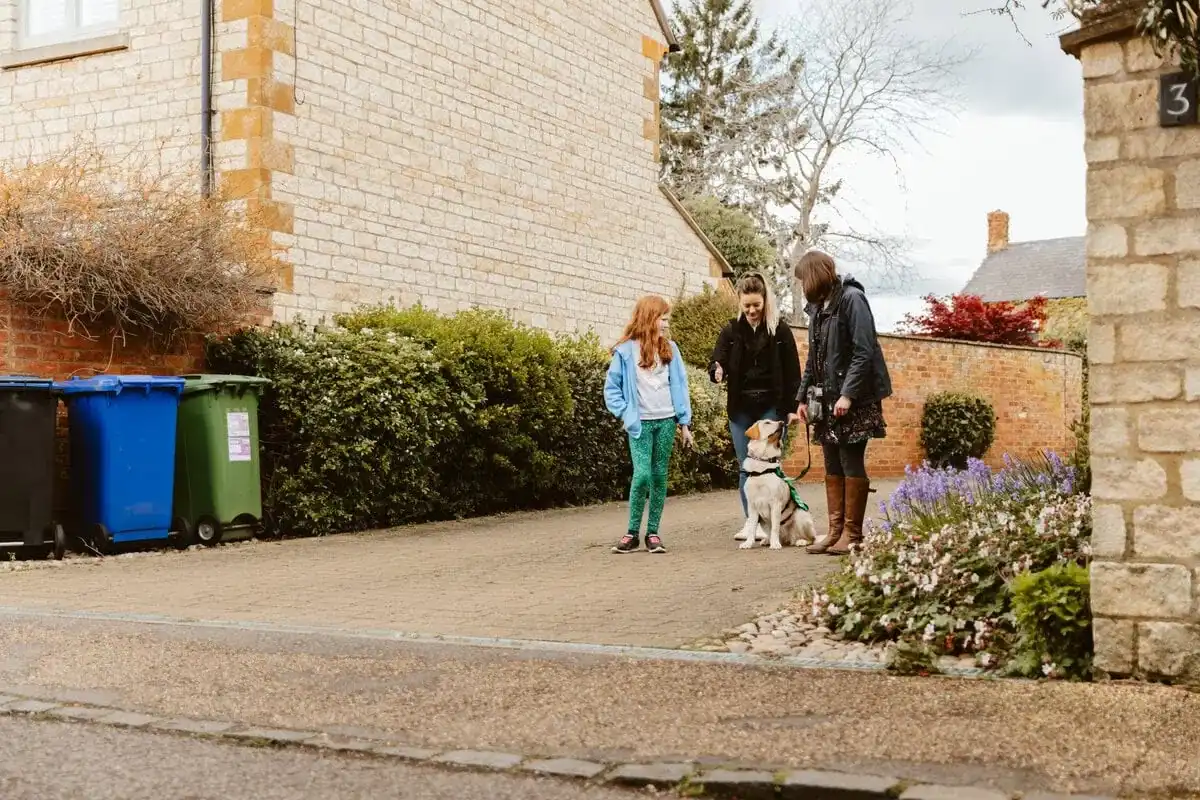 Autism Partnership Training Yellow Labrador Child Trainer Parent Drive Sideview