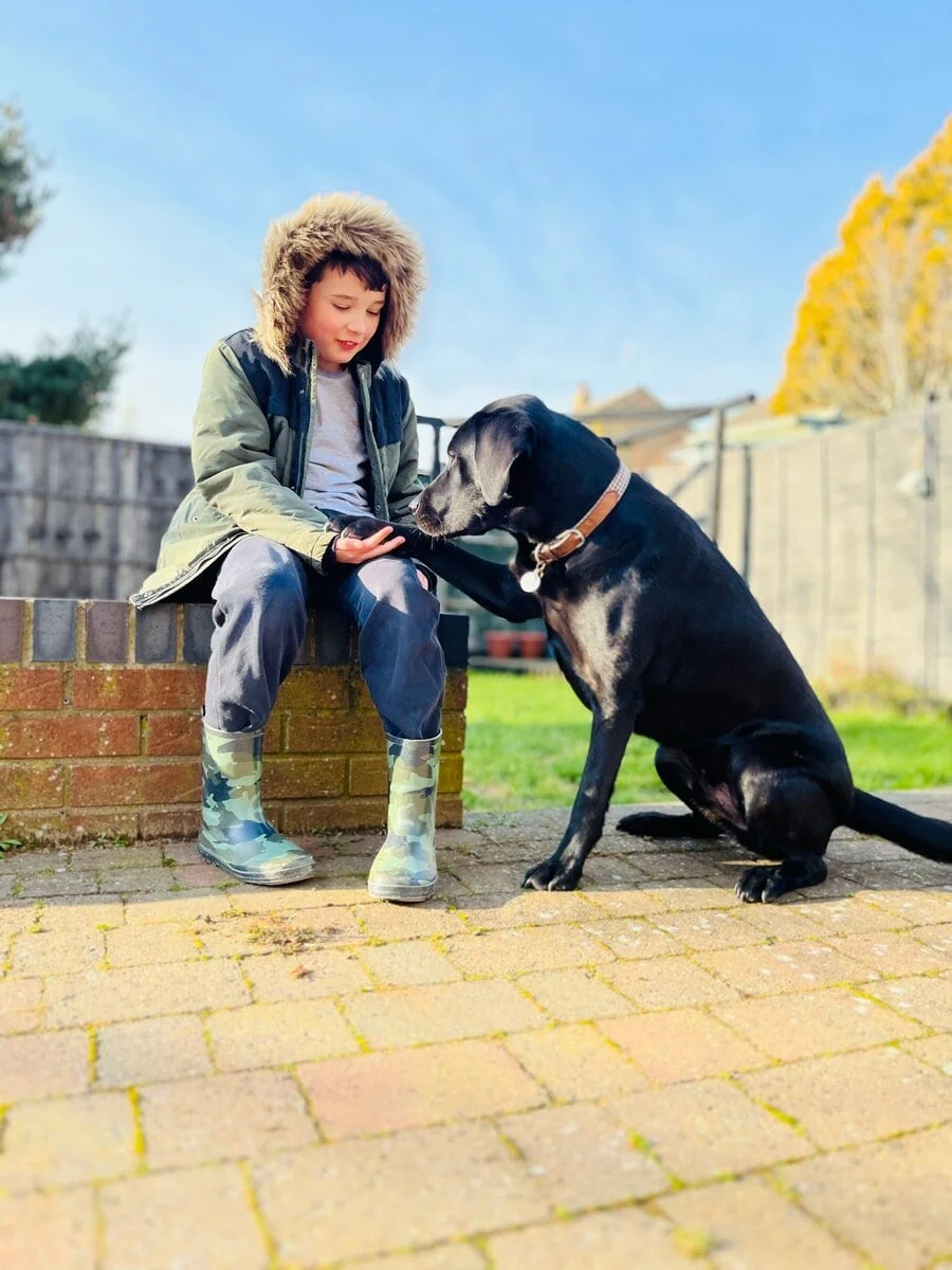 Autism Assistance Black Labrador Child Garden Bonding Frontfacing