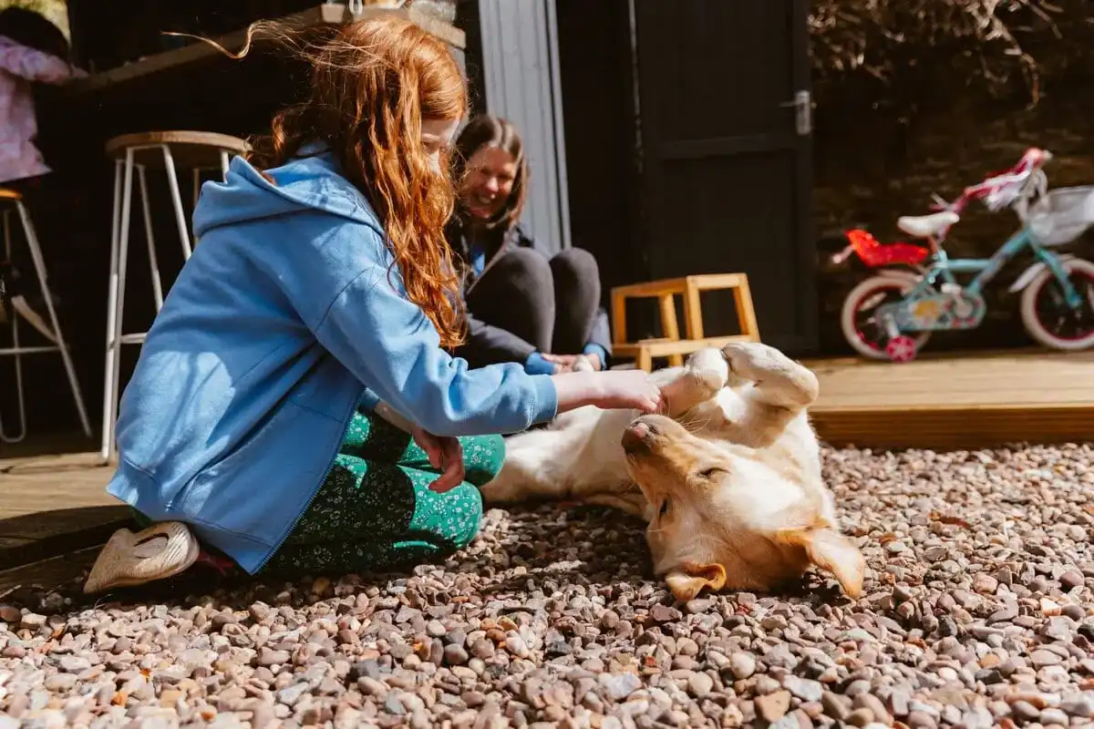 Autism Assistance Yellow Labrador Garden Cuddles Stroke Child Parent Sideview Closeup 