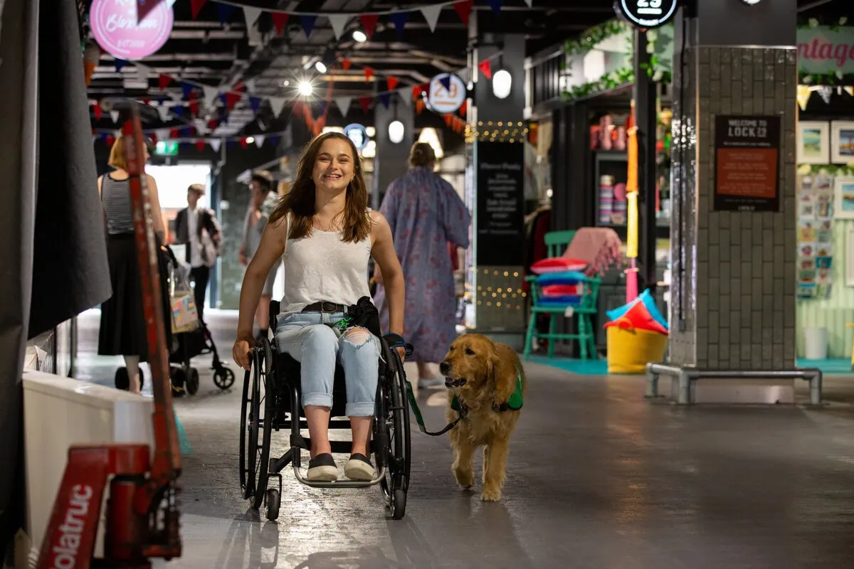 Physical Disability Assistance Golden Retreiver Walking Adult Wheelchair Indoor Market Shopping Frontfacing