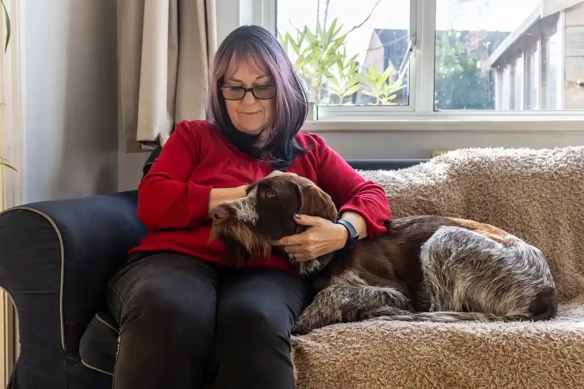 Family Dog Wire Haired Pointer Head Rest Sofa Adult Stroke Frontfacing