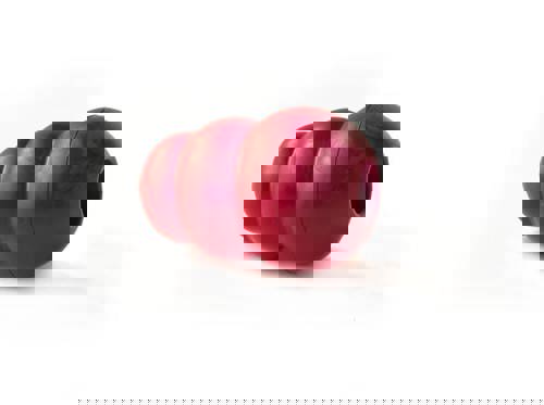Kong dog toy