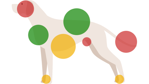 A silhouette of a dog with red, yellow and green circles showing where they are sensitive to touch
