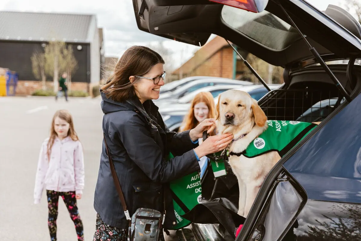 Autism Assistance Yellow Labrador Car Boot Parent Children Carpark Sideview