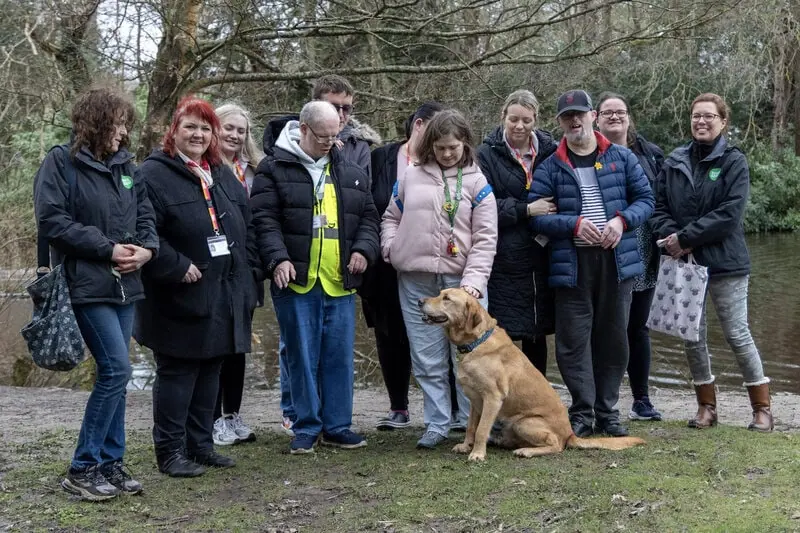 Community Golden Retriever Adults Forest Smiling Frontfacing