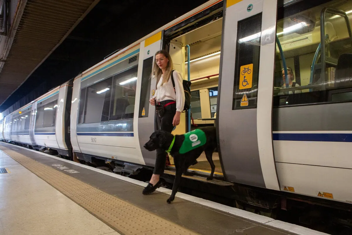 Physical Disability Assistance Black Labrador Adult Disembarking Train Platform Sideview