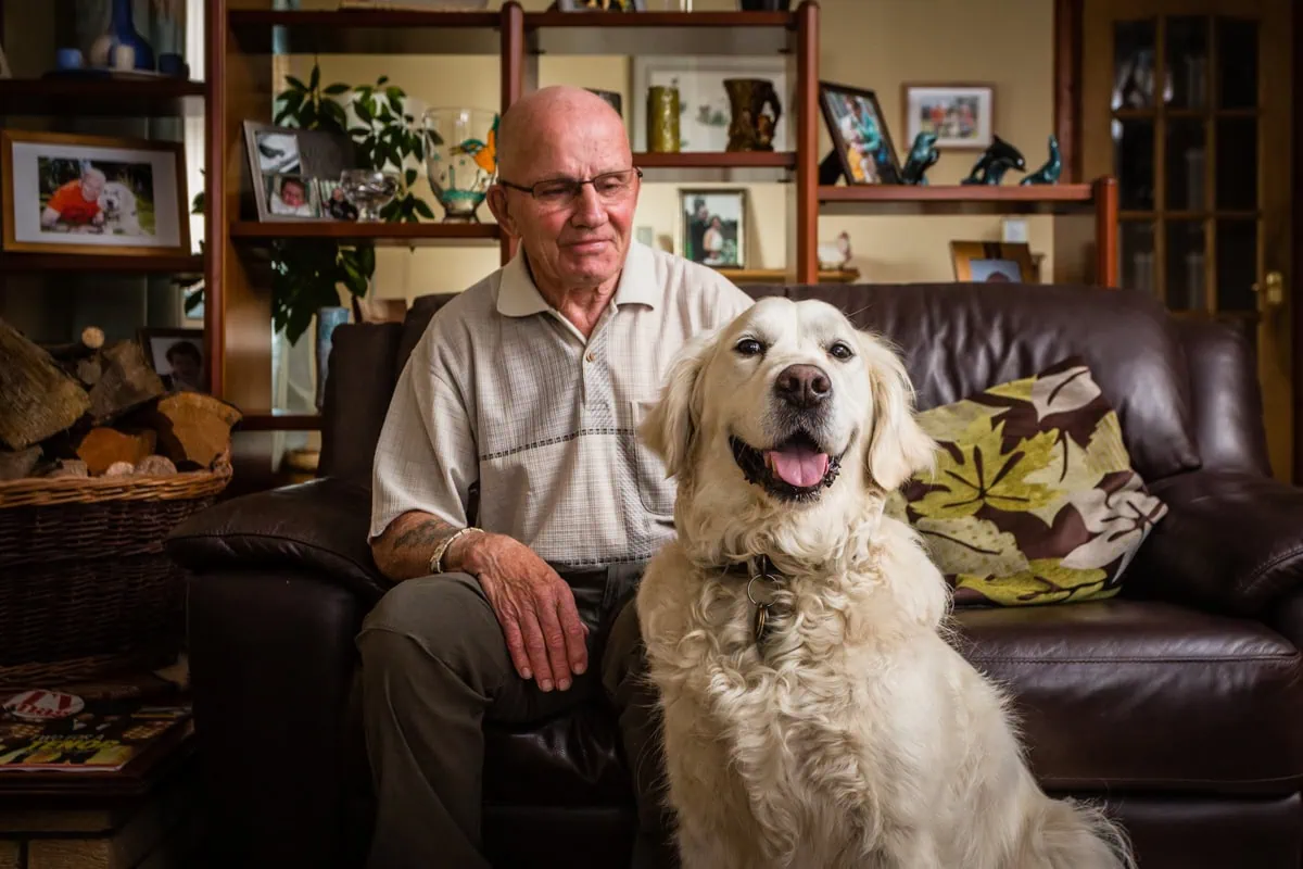 Dementia Assistance Yellow Labrador Adult Livingroom Sofa Sitting Bonding Strocking Frontfacing